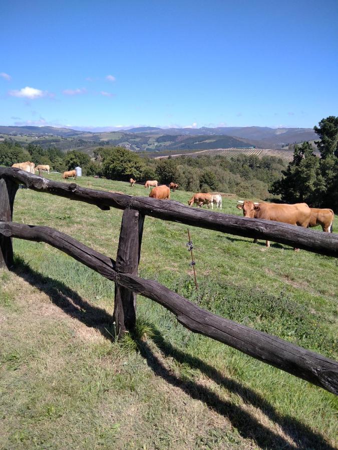 La Posada De Oscos Santa Eulalia de Oscos Eksteriør bilde
